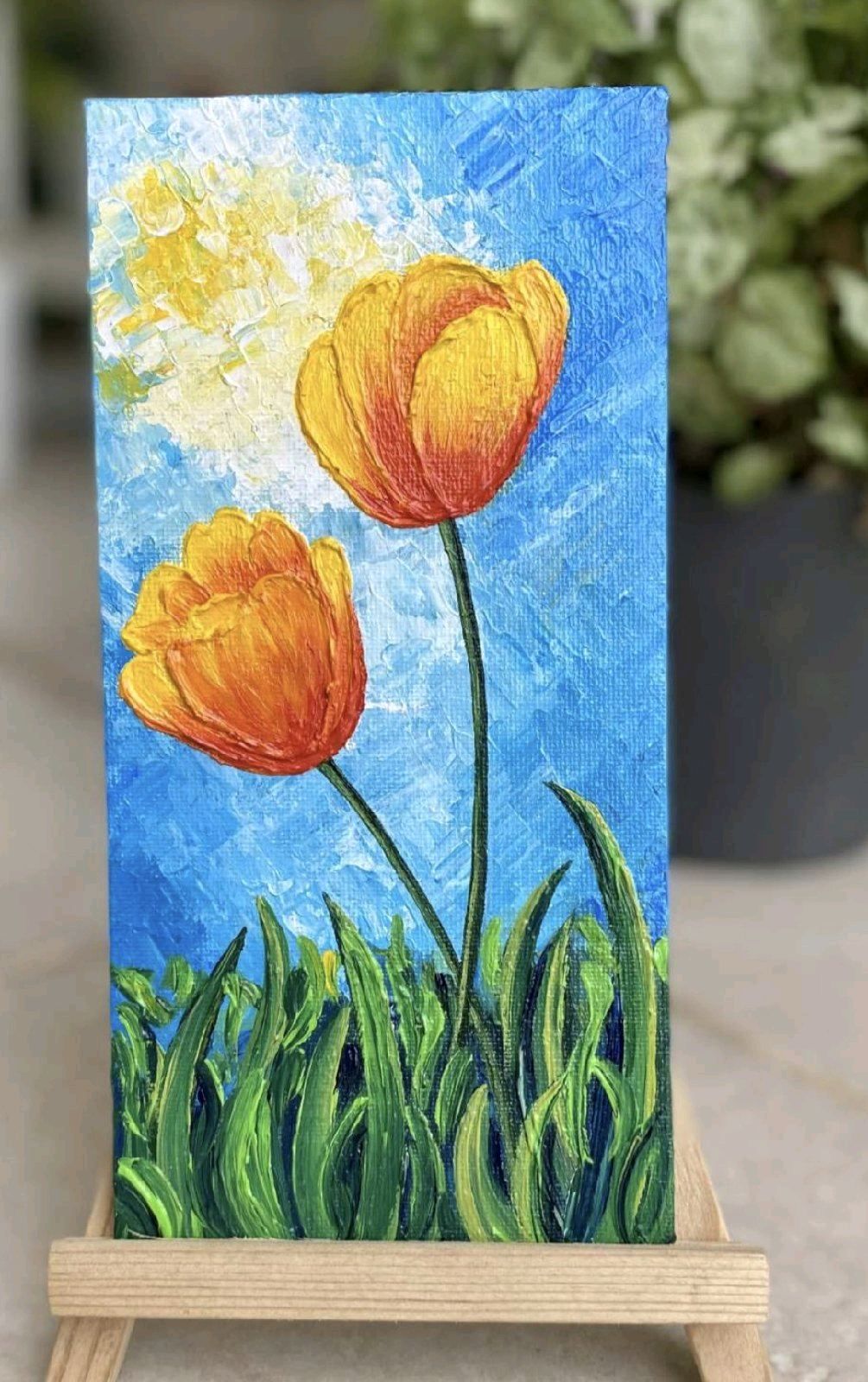 Tulip